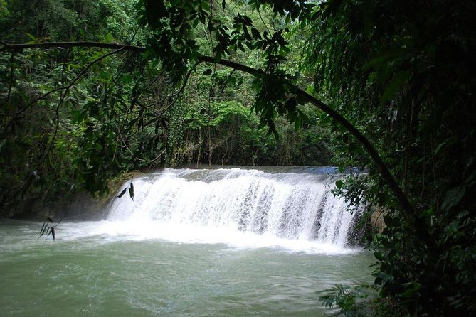 Ys Falls Private Tour - Scenic Countryside