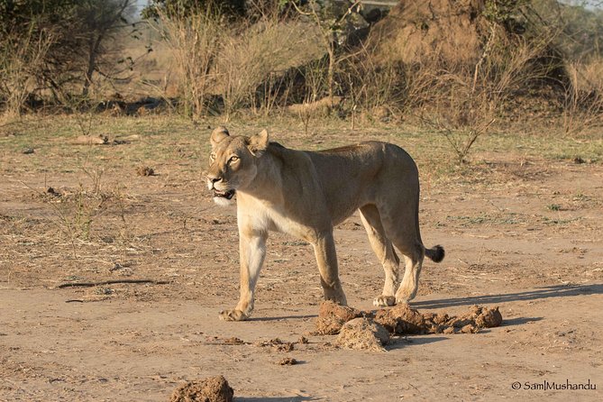 Zambezi National Park Game Drive AM /PM - Activity Duration