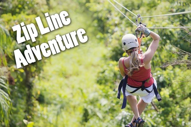 Zip Line - Half Day Adventure - What to Expect