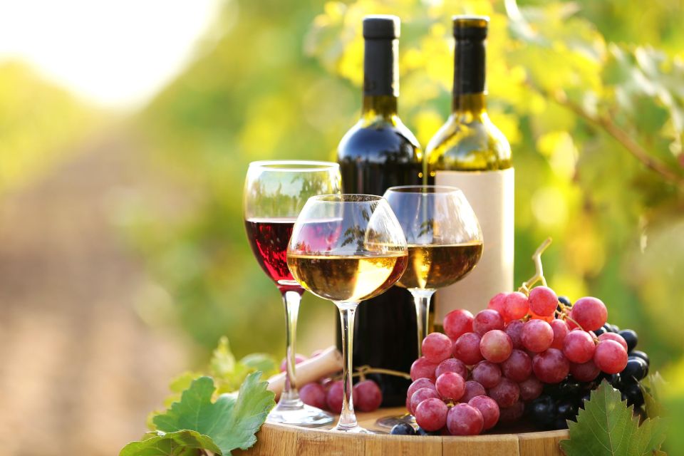 11 Course Lunch, Wine Tasting & Cooking Mastery in Rhodes - Picturesque Vineyard Tour