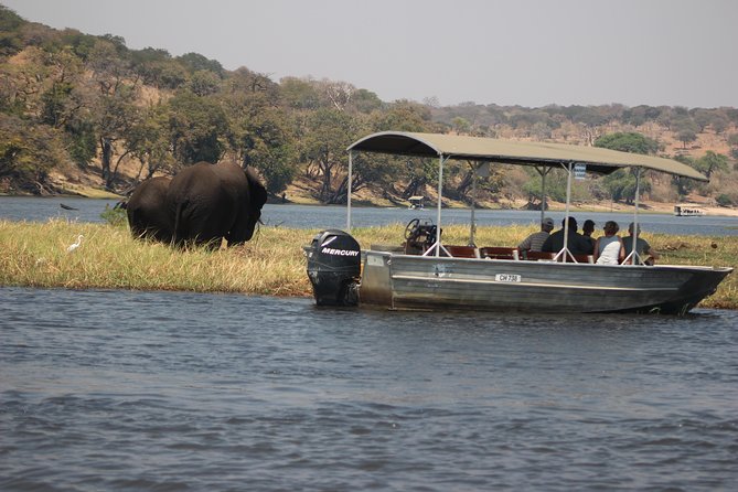 2-Day Camping Safari in Chobe National Park From Victoria Falls - Dining and Catering