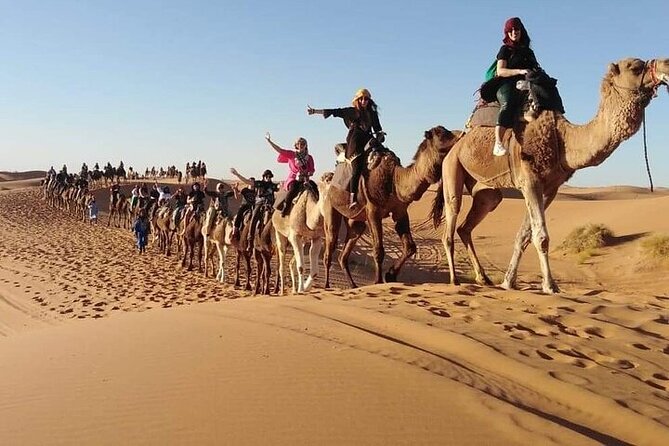 2 Days Luxury Tour to Merzouga Desert From Fez With Small Group - Camel Ride Experience