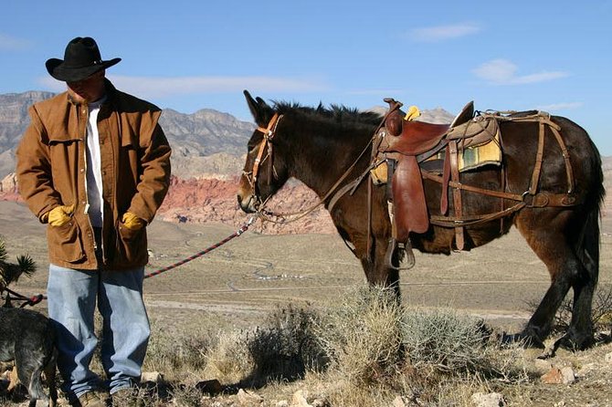 2-Hour Horseback Riding Through Red Rock Canyon - Preparing for the Horseback Ride