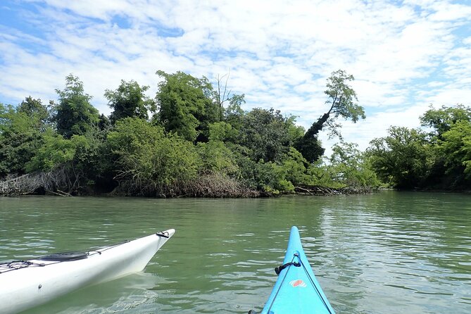 2 Hour Night Kayak Tour in Venice, Premium Experience With Sunset - Tour Duration and Schedule