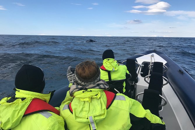 2-Hour RIB Boat Whale Watching Tour From Reykjavik - Cancellation Policy