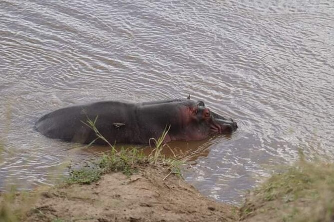 3 Day Private 4x4 Jeep Tour in Masai Mara Safari - Cancellation Policy