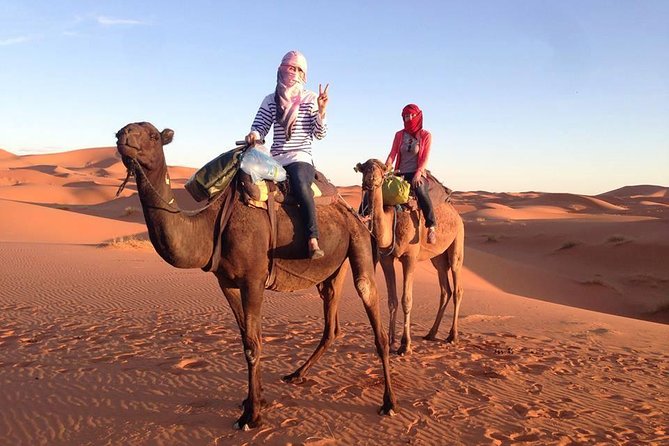 3 Days Desert Tour From Fes to Marrakech via Merzouga - Visiting Todra Gorges and Dades Valley