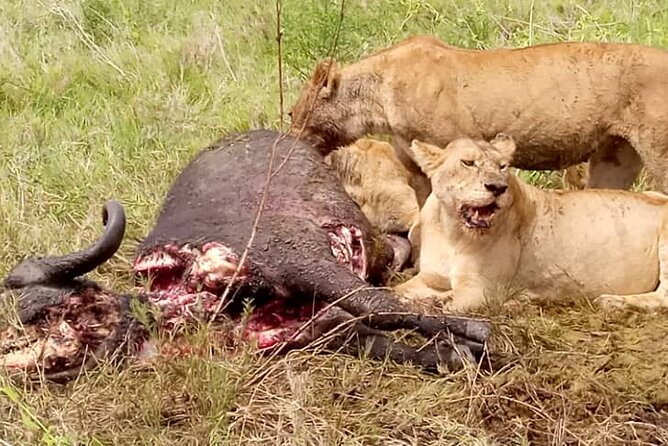 3 Days Lake Manyara, Ngorogoro Crater, Tarangire National Park - UNESCO World Heritage Sites