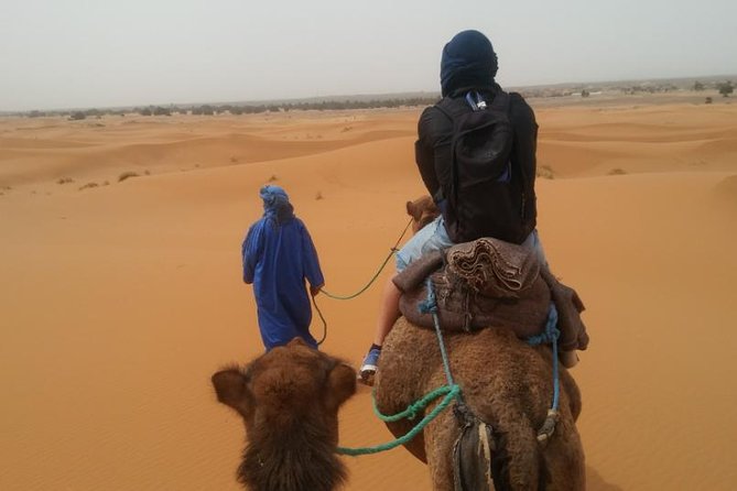 3-Days Shared Merzouga Desert Tour From Marrakech - Transportation and Driver