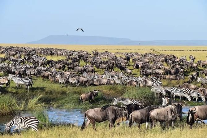 3 Days Tanzania Safari - Tarangire, Ngorongoro, Manyara - Ngorongoro Crater