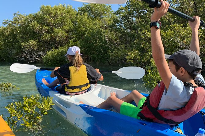 3-Hour Kayaking Eco Adventure - Mangrove Purple Island - Transportation