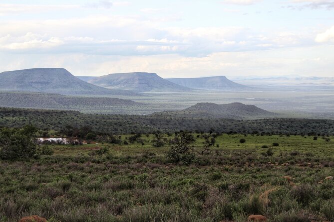 4 Day Addo to Karoo Safari - Pricing and Reviews