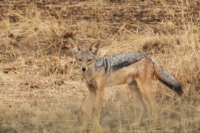 4 Day Serengeti and Ngorongoro Crater - Excluded Expenses Breakdown