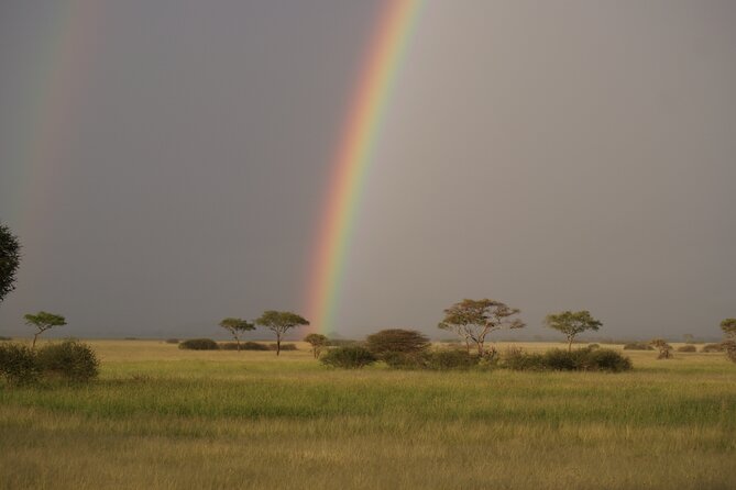 4-Day Tour to Tanzanias National Parks - Comfortable Camping Accommodations