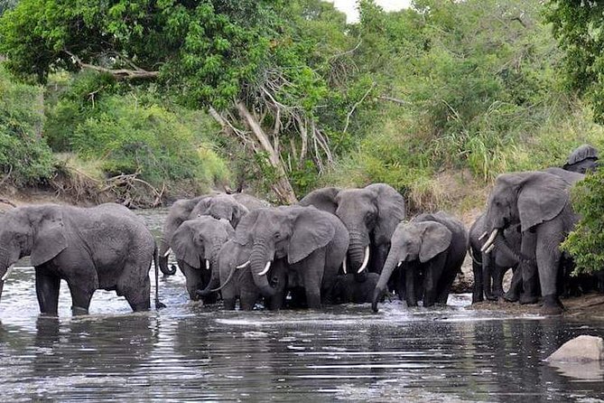 4 Days Joined Group Safari Serengeti,Ngorongoro and Tarangire National Parks - Cultural Experiences