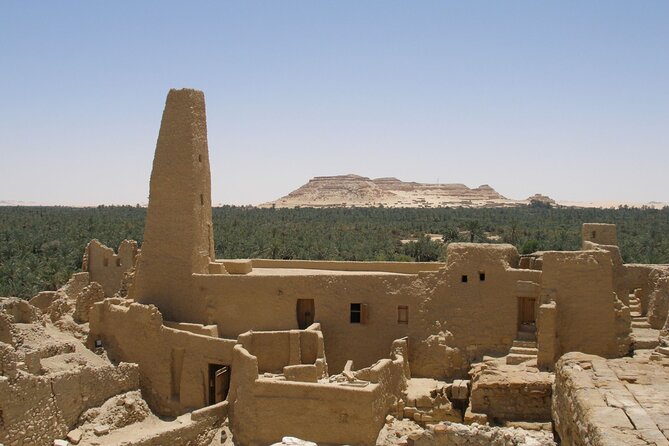 4 Days Tour Package to Siwa Oasis From Cairo - Highlights of the Tour