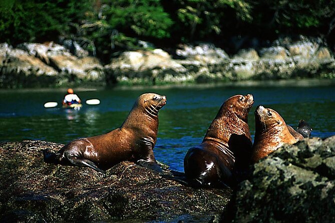 5 Days in Vancouver Multiactivity Adventure Tour - Sunset Dinner Cruise