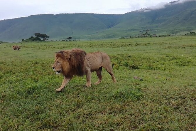 5 Days Safari In Serengeti And Ngorongoro - Pricing and Policies