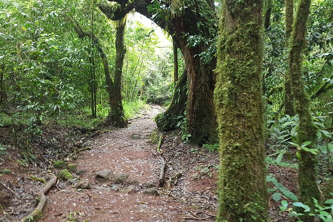 7-Day Mountain Climbing in Machame Route - Booking and Cancellation Policy