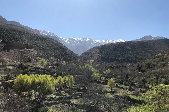 A Journey to Ourika Valley & Waterfall - Visiting Local Artisan Workshops