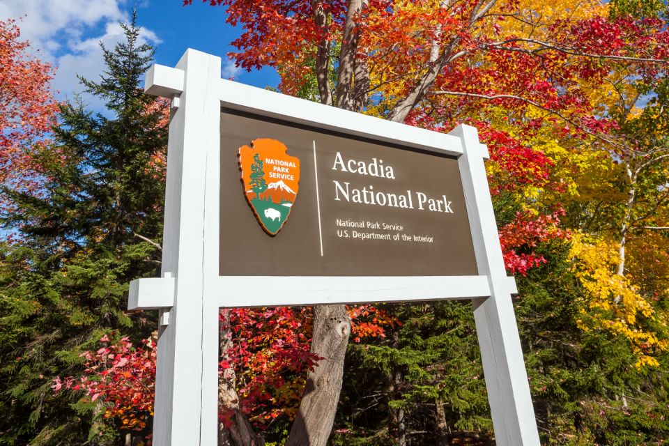 Acadia National Park Self-Guided Driving Tour From Cadillac - Preparation and Requirements