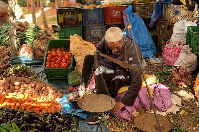 Agafay Desert, Atlas Mountains and Waterfall Day Trip From Marrakech - Explore the Agafay Desert