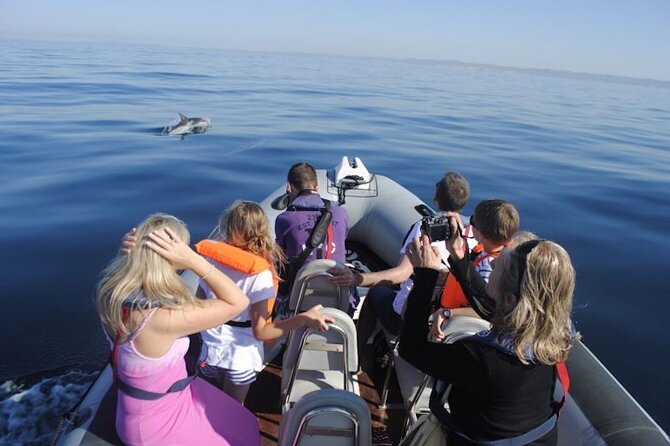 Algarve Dolphin Watching & Marine Life Eco Tour - Wildlife Spotting