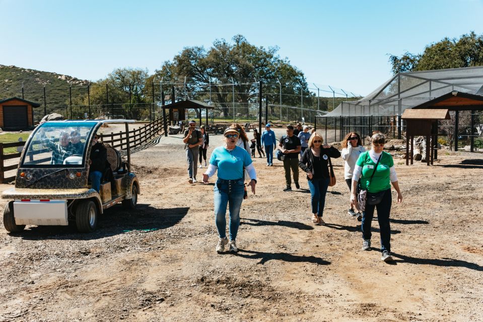 Alpine: Lions Tigers & Bears Sanctuary Visit and Feeding - Feeding Experience With Big Cats