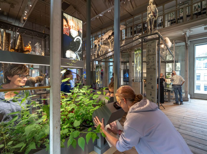 Amsterdam: ARTIS-Groote Museum Entry Ticket - Scent Tunnel Exploration