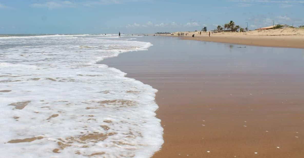 Aracaju: Tour to Saco Beach - Transportation and Departure