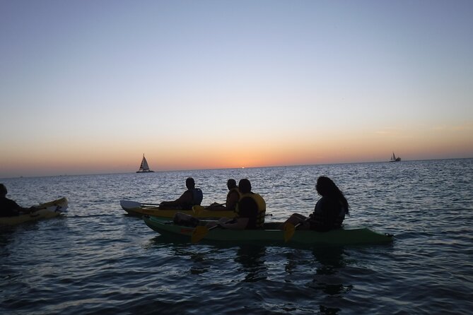 Aruba Night Glass Kayak Tour - Discover Marine Life