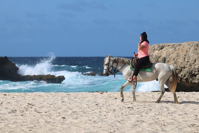 Aruba North Coastline: Small-Group Horseback Riding Tour - Tour Transportation Options