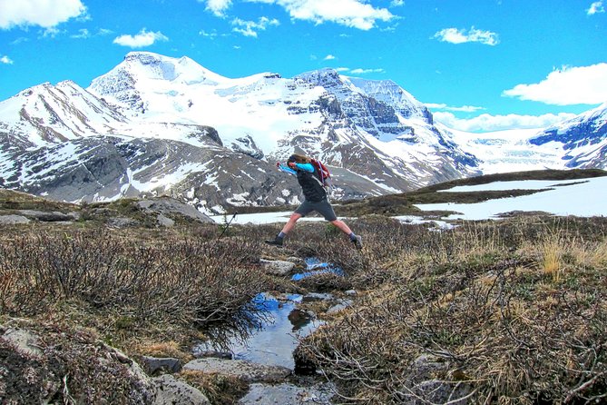 Banff to Jasper One-Way Tour - Learning About the Region