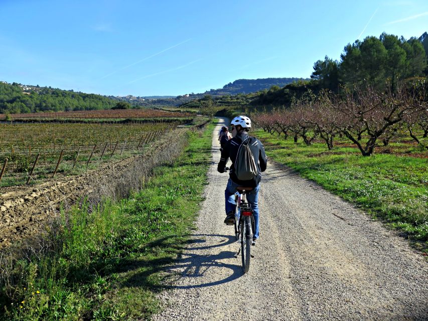 Barcelona: Guided Half-Day Wine and Electric Bike Tour - Meeting Point Details