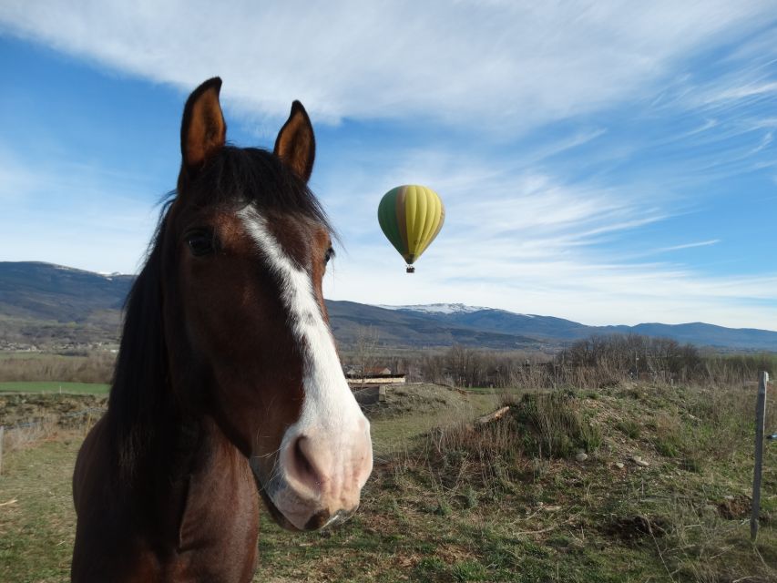 Barcelona: Hot Air Balloon Ride - Customer Feedback