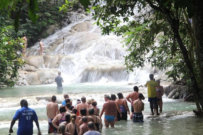 Beach Horseback Riding and Dunn's River Falls - Iconic Waterfall Experience