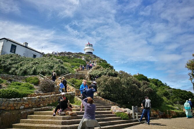 Best of the Cape Full Day Private Tour - Cape of Good Hope