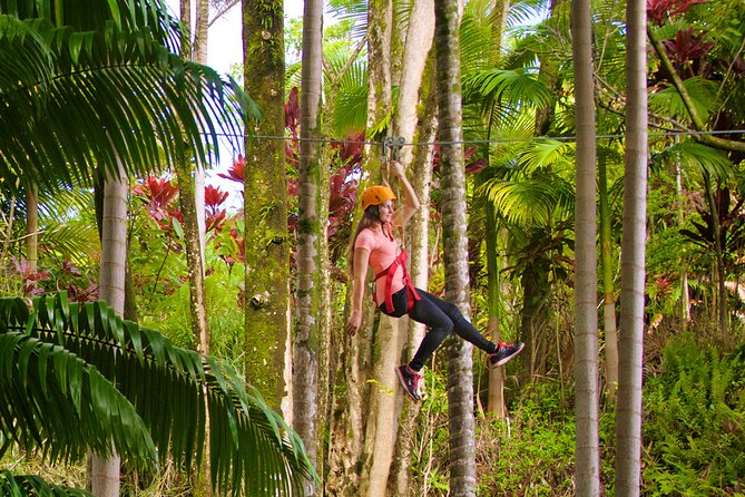 Big Island Zipline Adventure - Exploring Rainforest Wonders