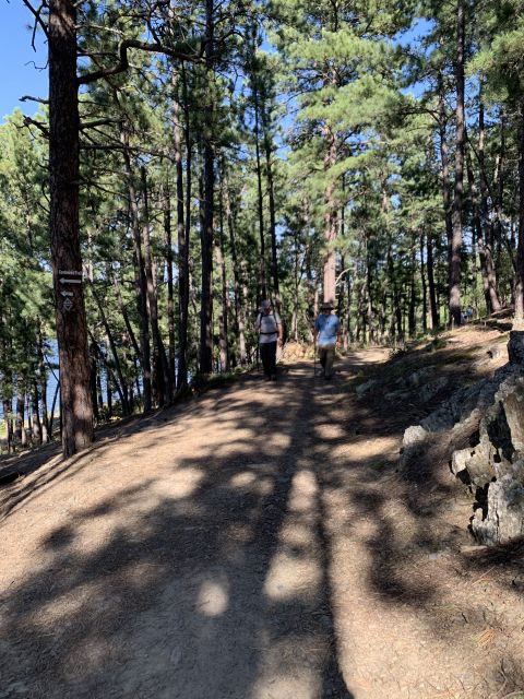 Black Hills: Private Tour of Mt. Rushmore & Flume Trail Hike - Suitability and Requirements