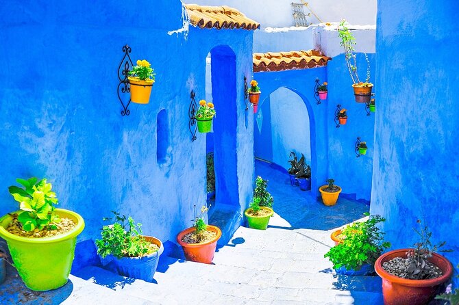 Blue City Tour From Marrakech: Private 4-Day Luxury Tour to Chefchaouen - Traveler Feedback