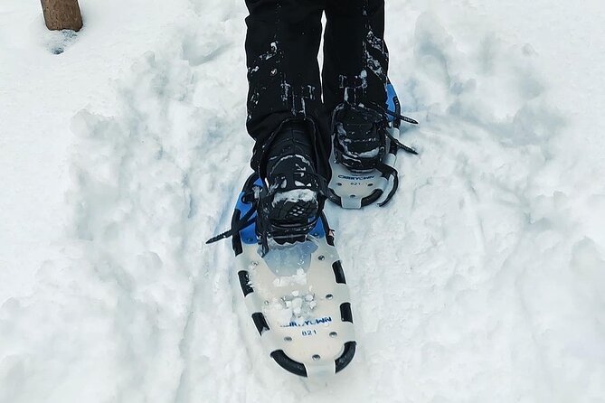 Blue Mountain and Scenic Caves of Collingwood - Snowshoeing at Blue Mountain