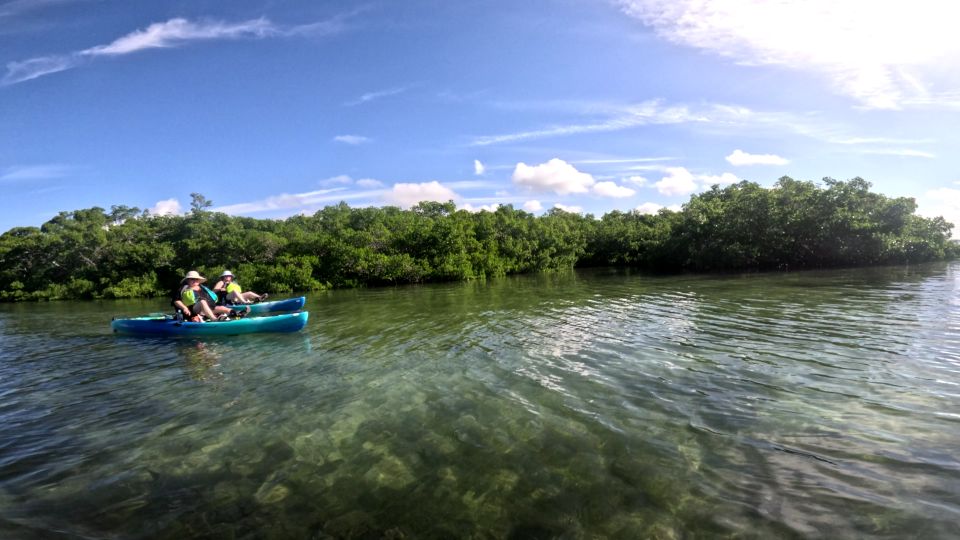 Bradenton: Guided Pedal Kayak Tour - Participant Guidelines