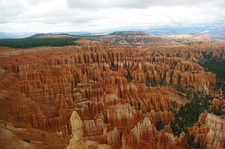 Bryce: Guided Sightseeing Tour of Bryce Canyon National Park - Restrictions and Unsuitability