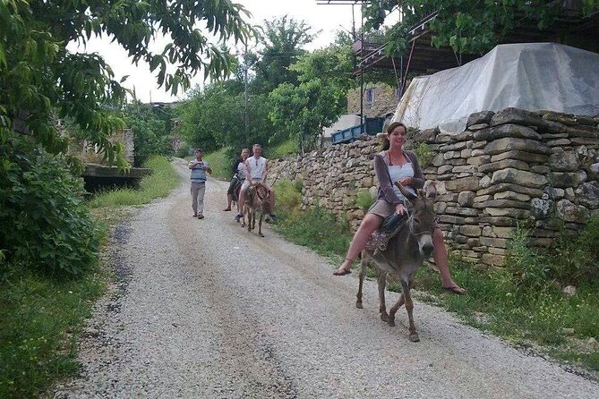 Cabrio Bus Safari and Green Lake Boat Trip From Side - Optional Zoo Tour