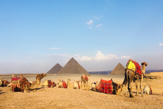 Cairo Sightseeing Tour (Giza Pyramids + Museum + Khan El Khalili Bazaar) - Cancellation and Refund Policy