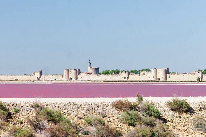 Camargue Small-Group Day Trip From Avignon - Transportation and Inclusions