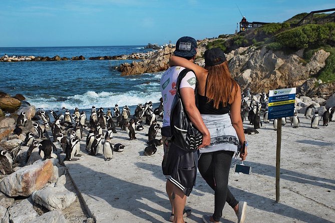 Cape Agulhas Full Day Private Tour From Cape Town - Southernmost Tip of Africa