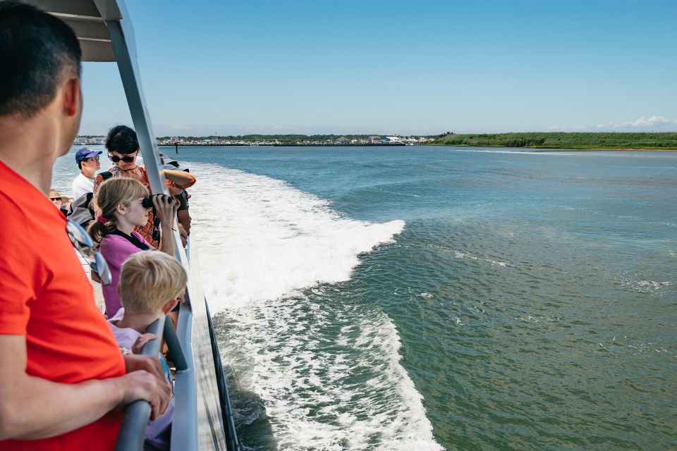 Cape May: Jersey Shore Whale and Dolphin Watching Cruise - Customer Ratings and Feedback