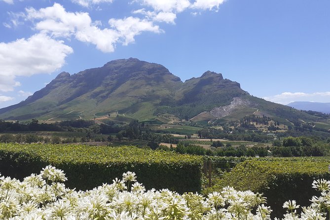 Cape Winelands and Wine Tasting Full Day Tour - Transportation and Accessibility