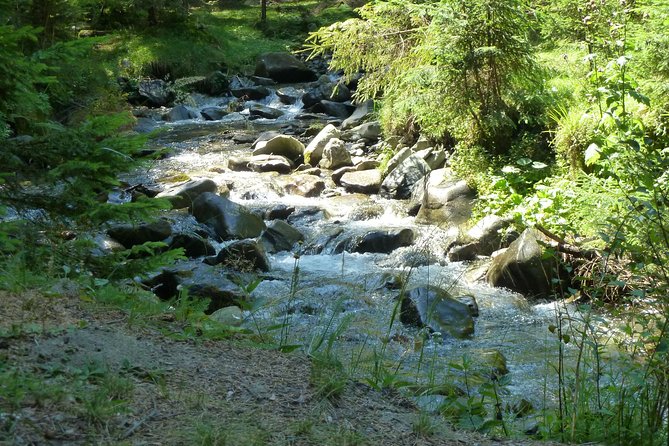 Carpathians in Romania: Bucegi Natural Park With Native Spanish Guide. - Itinerary and Activities